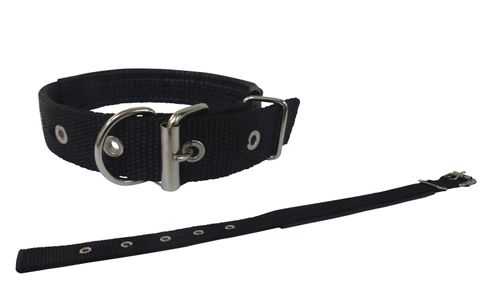 Collar para perro, mascota