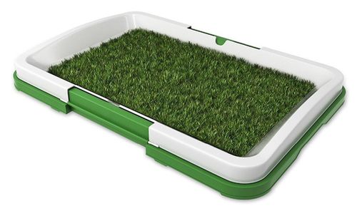 Césped, baño para mascotas ecológico