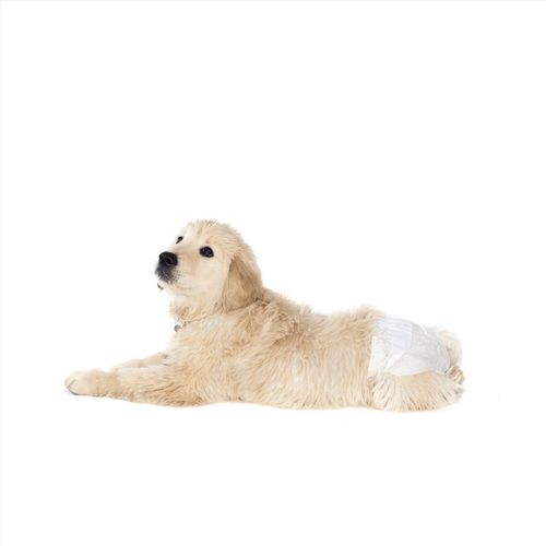 Pañales para mascota mediano