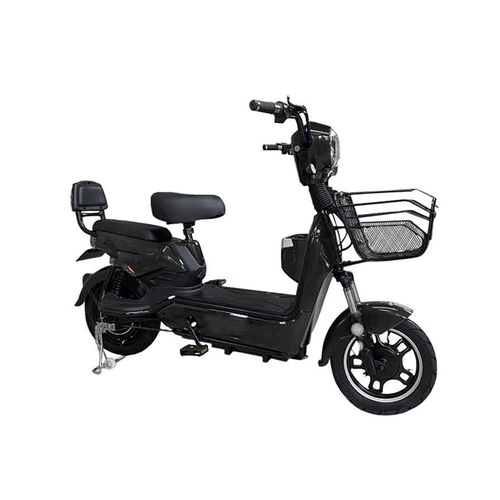 Bicicleta eléctrica 350W doble asiento