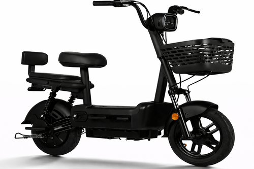 Eco Bike ENV 350W PP